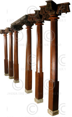 Indian columns 08MT24. Tamil Nadu, Southern India.