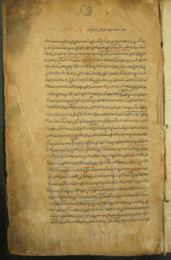 Manuscrit médicinal islamique PK169.  Swat, Pakistan.