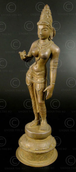 Parvati debout bronze 09KB4C. Tamil Nadu, Inde du sud.