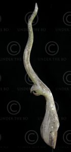 Thai chowfah CHF3. Teak wood. Lanna (North Thailand). Early 20th century.