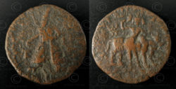 Kushan bronze coin C202B. Kushan Empire.
