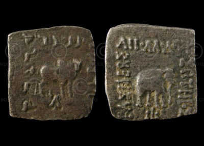 Indo-Greek coin C217D. King Apollodotus I (circa 174-166 BC), Bactria.