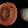 Sasanian chalcedony seal SH74B. Afghanistan. Sassanid empire.