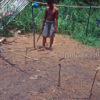 Iban boar trap charm BO273. Iban Dayak culture, Entipan village, West Kalimantan, Borneo island.