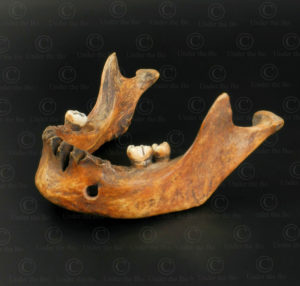 Igorot gong handle ID106. Igorot culture, highlands of northern Luzon, the Philippines.