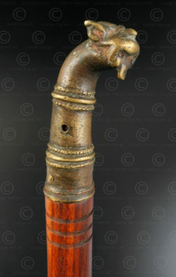 Lion head cane knob 16N60. Madhya Pradesh state, central India.