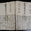 Yao manuscript YA179B. Southern China - Northern Laos.