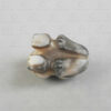 Banded agate frog bead 22SH14. Oxus civilization, Central Asia. Second or first millenium BCE.