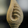 Granite conch shell IN699. Southern India.