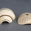 Naga shell decoration NA230. Konyak of northern Nagaland, Eastern India.