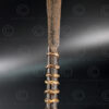 Four Asian spears ID157. Lake region in the north of West Kalimantan, Borneo.