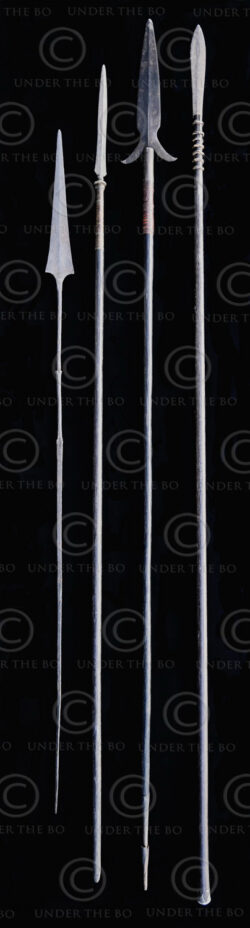 Four Asian spears ID157. Lake region in the north of West Kalimantan, Borneo.