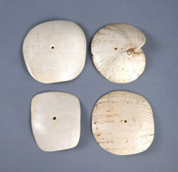 Naga shell decoration NA229. Konyak of northern Nagaland, Eastern India.