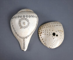 Naga shell decoration NA230. Konyak of northern Nagaland, Eastern India.
