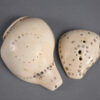 Naga shell decoration NA232. Konyak of northern Nagaland, Eastern India.