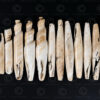 Oblong shell tribal beads NA228. Konyak of northern Nagaland, Eastern India.
