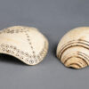 Naga shell decoration NA231. Konyak of northern Nagaland, Eastern India.