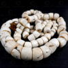 Apatani shell necklace BD318. Arunachal Pradesh, North-East India.