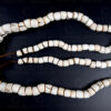 Collier Apatani en coquillage BD318. Arunachal Pradesh, nord-est de lInde.